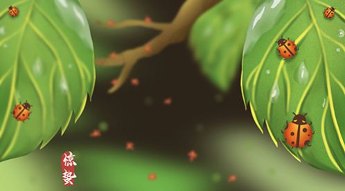二十四节气 | 惊蛰到，春意浓【杭州易造】