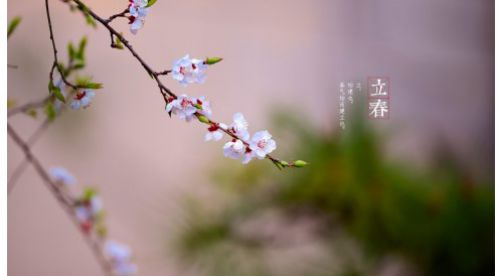 立春|一年四季春为首，莫负春日好时光——【易造科技】