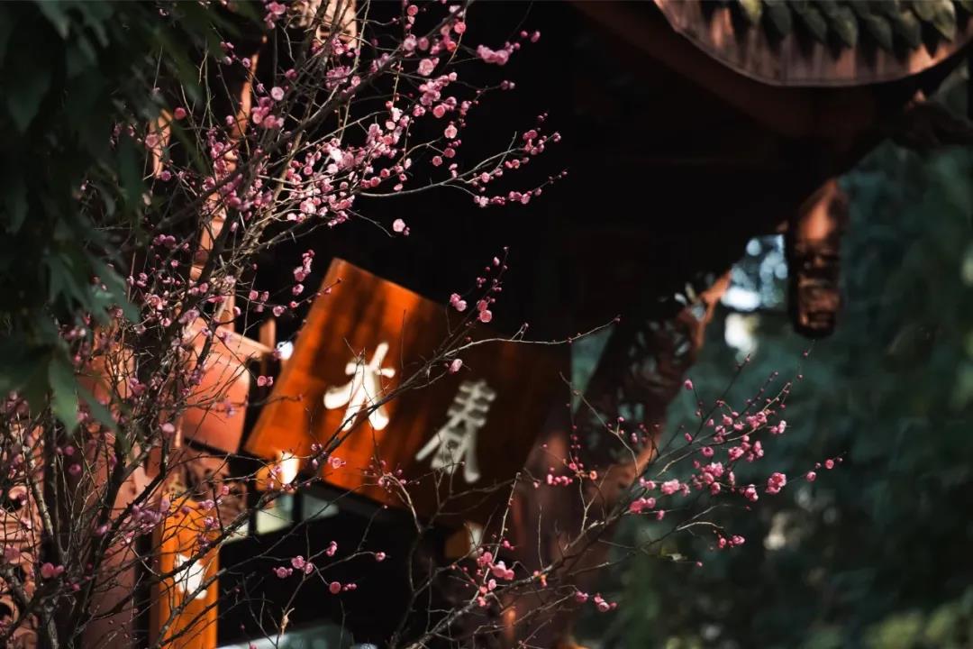 立春一年新的开始-杭州易造