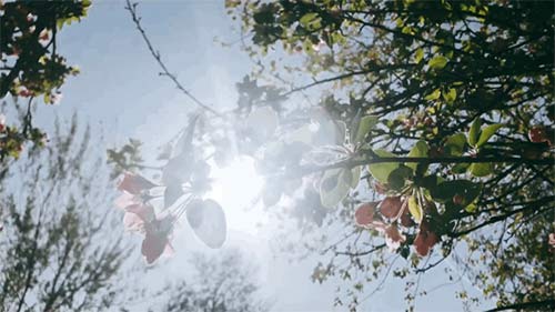 三八妇女节丨祝所有女神:愿你笑靥如花,一生不减芳华-杭州易造